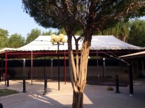 Tent 10 X 20